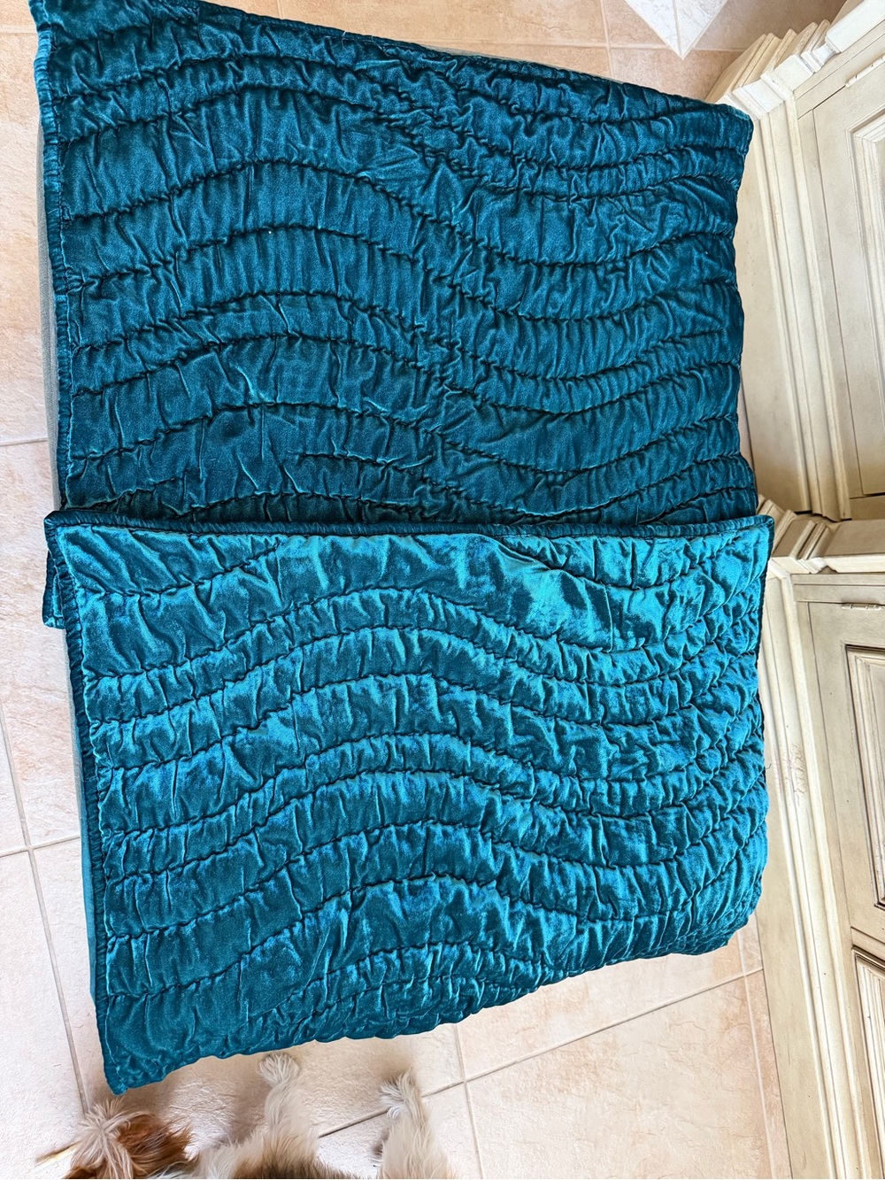 2 West Elm Turqouise Blue Velvet Shams 20”x26” NWOT
